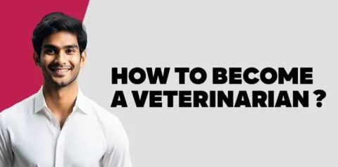 how-to-become-a-veterinarian.jpg